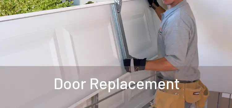  Door Replacement 